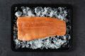 Fresh Chilled Frozen Premium Norwegian Salmon Fish Portion