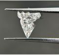 Horse Cut Diamond