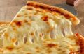 Mozzarella Pizza Topping Cheese