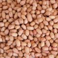Organic Raw Brownish groundnut kernels