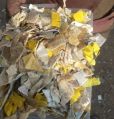Yellow and White hdpe plastic scrap
