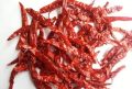 Wrinkle Dry Red Chilli