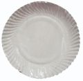 10 Inch Disposable Paper Plate