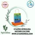 Spirulina Mother Culture