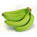 Fresh Green Bananas