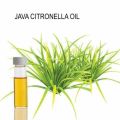 Java Citronella Oil