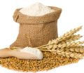 Karnavat exporters Organic Natural Common White wheat atta