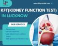 kidney function test