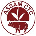 BOP Grade Assam CTC Tea