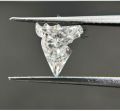 Horse Cut 0.25ct to 1.5ct Diamond