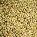 Organic Raw Brown coriander seeds