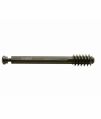 SS Polished hex lag screw