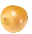 A Grade Yellow Onion