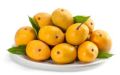 Yellow devgad alphonso mango