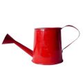 Hand Craft Iron Watering Can