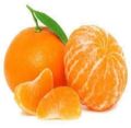 fresh orange