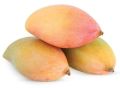 Fresh Totapuri Mango