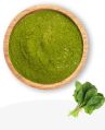 Spray Dried Spinach Powder