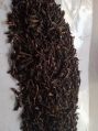 Organic Black darjeeling leaf tea