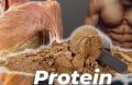 Workout Whey Protein Powder
