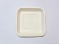 Square White Bagasse Plate