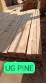 Uruguay Pine Wood Plank