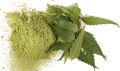 Natural Green neem powder