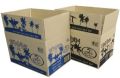 Printed Kraft Paper Corrugated Box