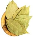 Green Leaves bay leaf