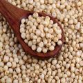 Common Creamy Seed sorghum