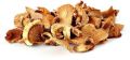 Brown dry oyster mushroom