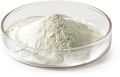 Casein Protein Hydrolysate Powder