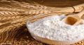 White wheat flour