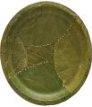 Round Green Yellow organic sal leaf plates