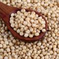 Common Creamy sorghum millet