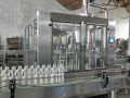 Electric Automatic 220V mineral water bottling plant