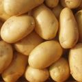 Natural a grade fresh potato