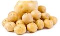 Natural Fresh Pukhraj Potato