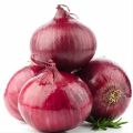 organic red onion