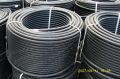 Drip Irrigation Lateral Pipes