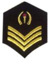 Chevrons Badges