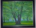 Nature Oil Paintings