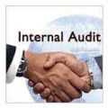 Internal Audit Assurance Services