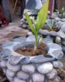 Pebbles Planter Pots