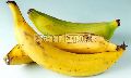 Fresh Plantain Banana