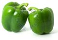 fresh green capsicum