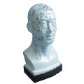 Acupuncture Model Head