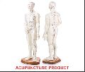Human Body Male Single Acupuncture Model