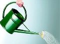 Metal Spray Finish Watering Can