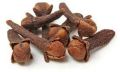 cloves